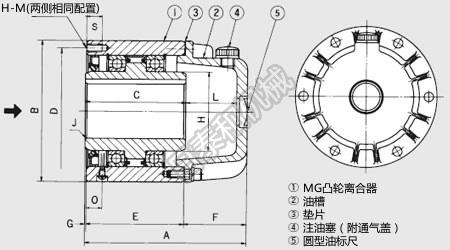 MG-R